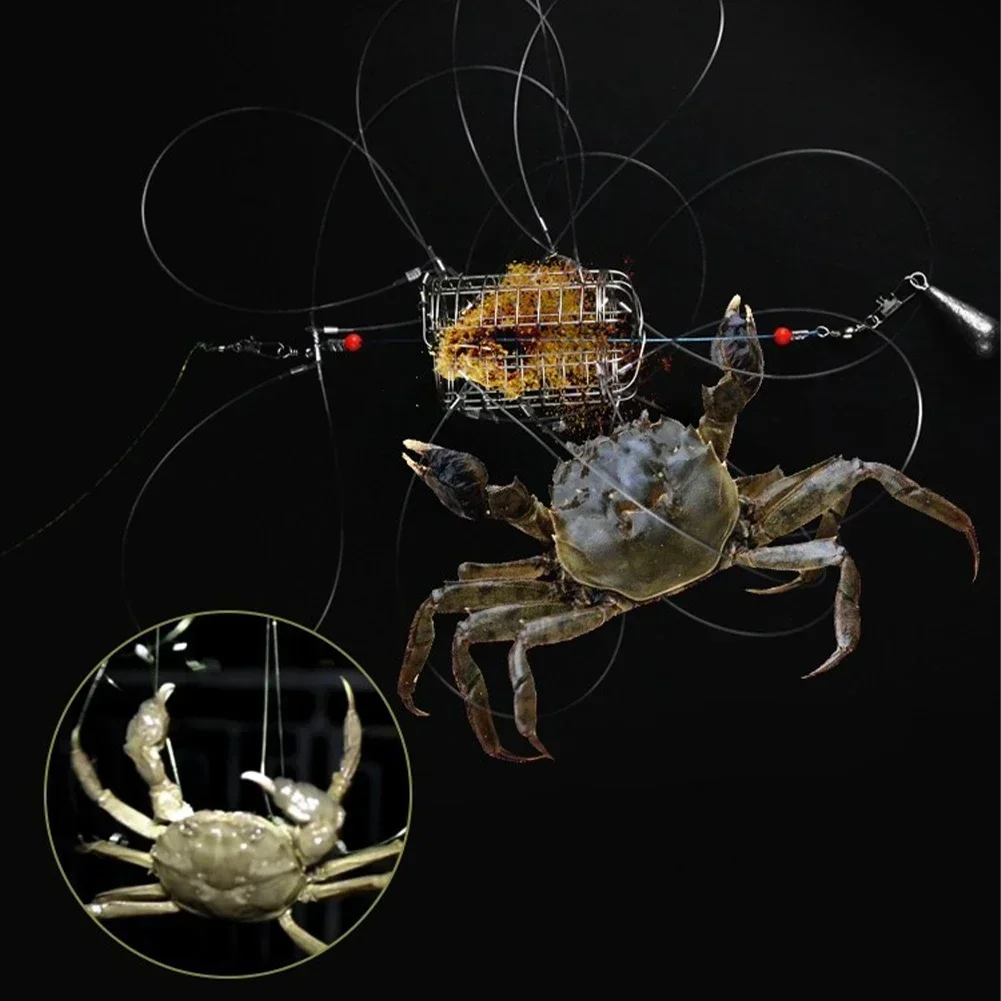 Outil de capture de crabe, piè - Outdoor Sports Store avis et prix