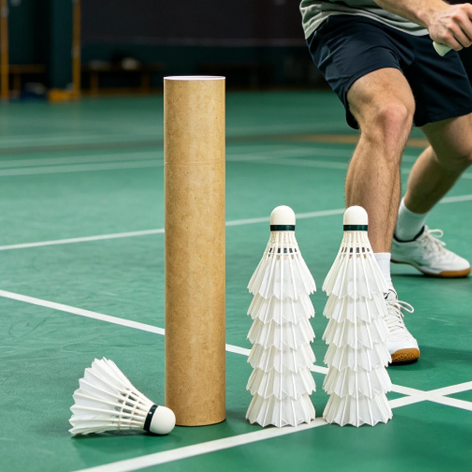 Volants de badminton pour l'en - Outdoor Sportsman Group avis et prix