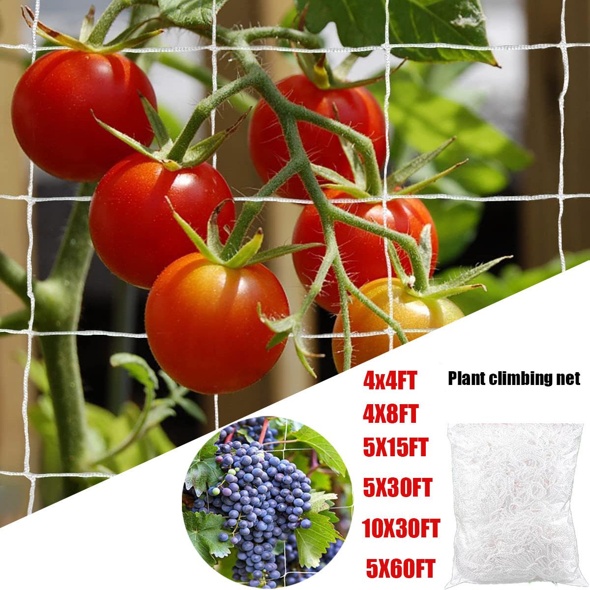 Filet d'escalade en Polyester  - Outdoor Sports Net avis et prix