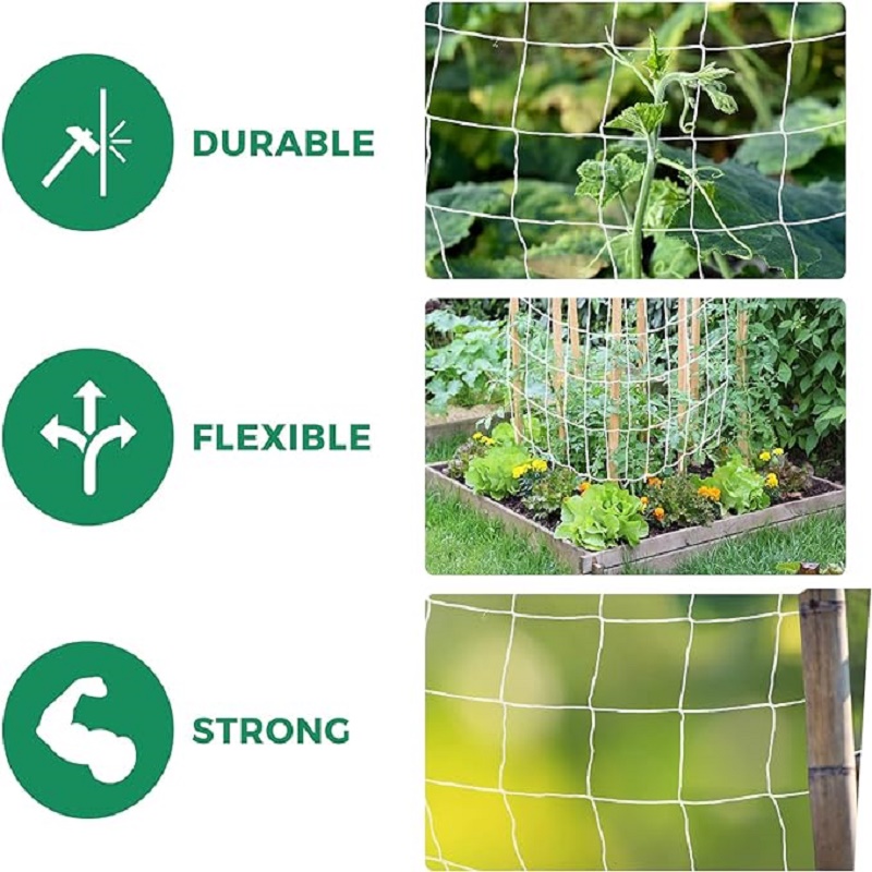 Filet d'escalade en Polyester  - Outdoor Sports Net avis et prix