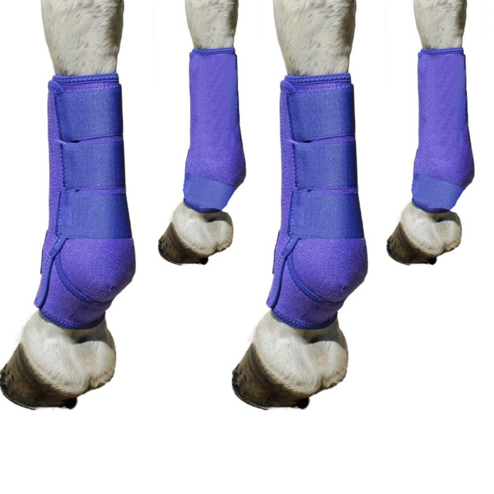 Lot de 4 protections colorées  - Brushing Boot Horse avis et prix